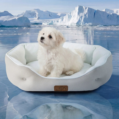 Bedsure Cooling Dog Beds for Small Dogs – Q-MAX>0.4 round Cat Beds for Indoor Cats, Washable Pet Bed for Puppy and Kitten with Slip-Resistant Bottom